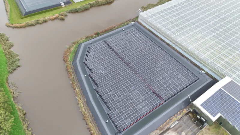 Kwekerij Het Kraaiennest 02