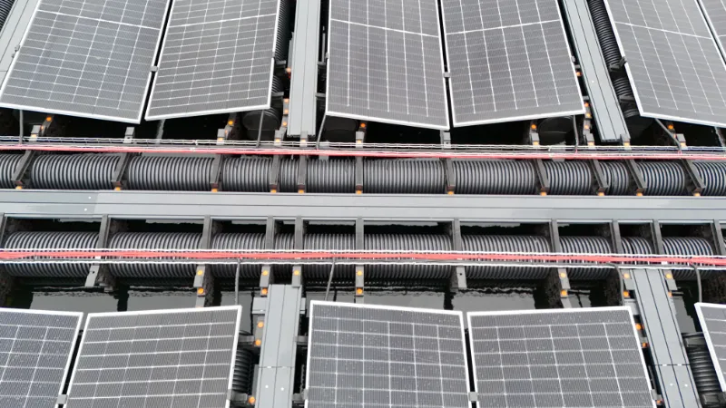 Kwekerij Het Kraaiennest 04