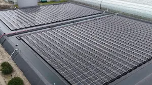 Kwekerij Het Kraaiennest